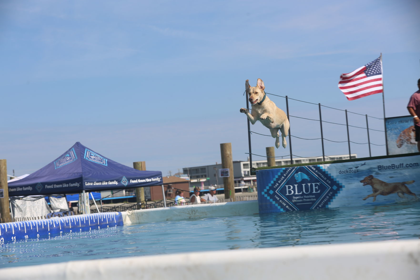 090919_gal_dockdogsWW (12)